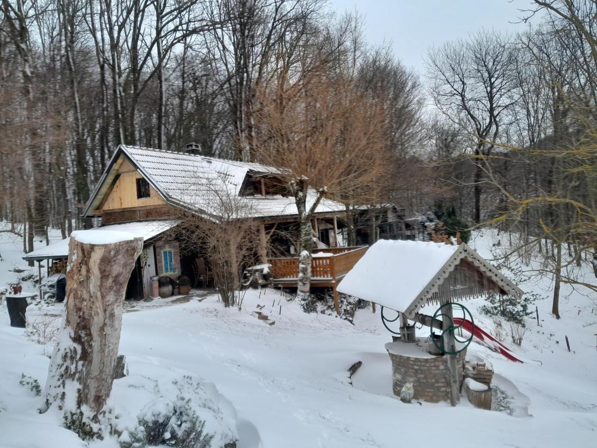 Country House With A Pool In Medvednica Nature Park 자그레브 외부 사진