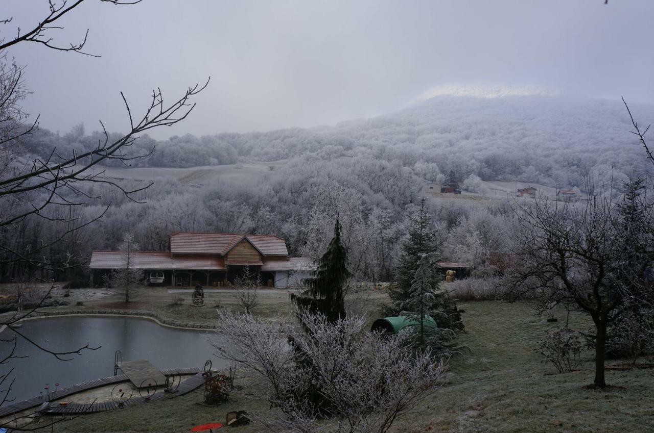 Country House With A Pool In Medvednica Nature Park 자그레브 외부 사진